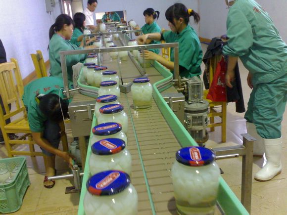 重視鏈板輸送機使用過程中維護工作