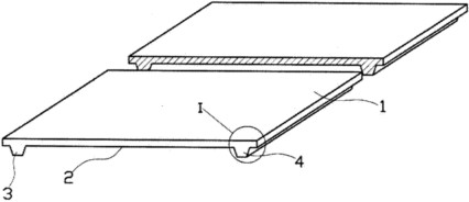 防跑偏輸送帶背面視圖