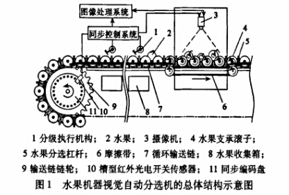 水果自動分揀輸送機(jī)分級卸料原理